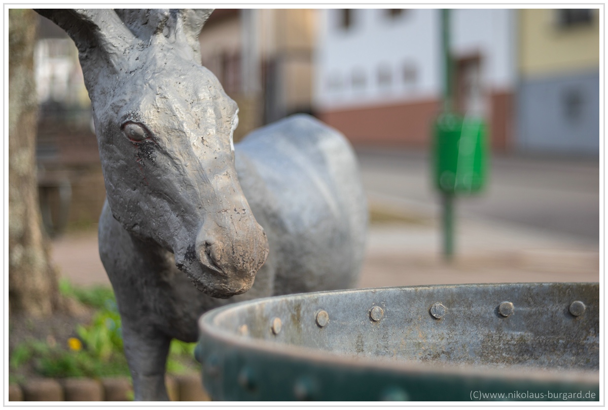 Name:  300kb_Leitz Elmaron 85mm f2.8 + Helios 103 Hchsten 093.jpg
Hits: 918
Gre:  282,2 KB