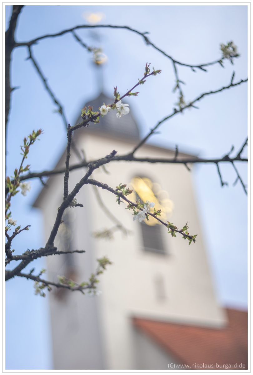 Name:  300kb_Leitz Elmaron 85mm f2.8 + Helios 103 Hchsten 104.jpg
Hits: 792
Gre:  291,7 KB