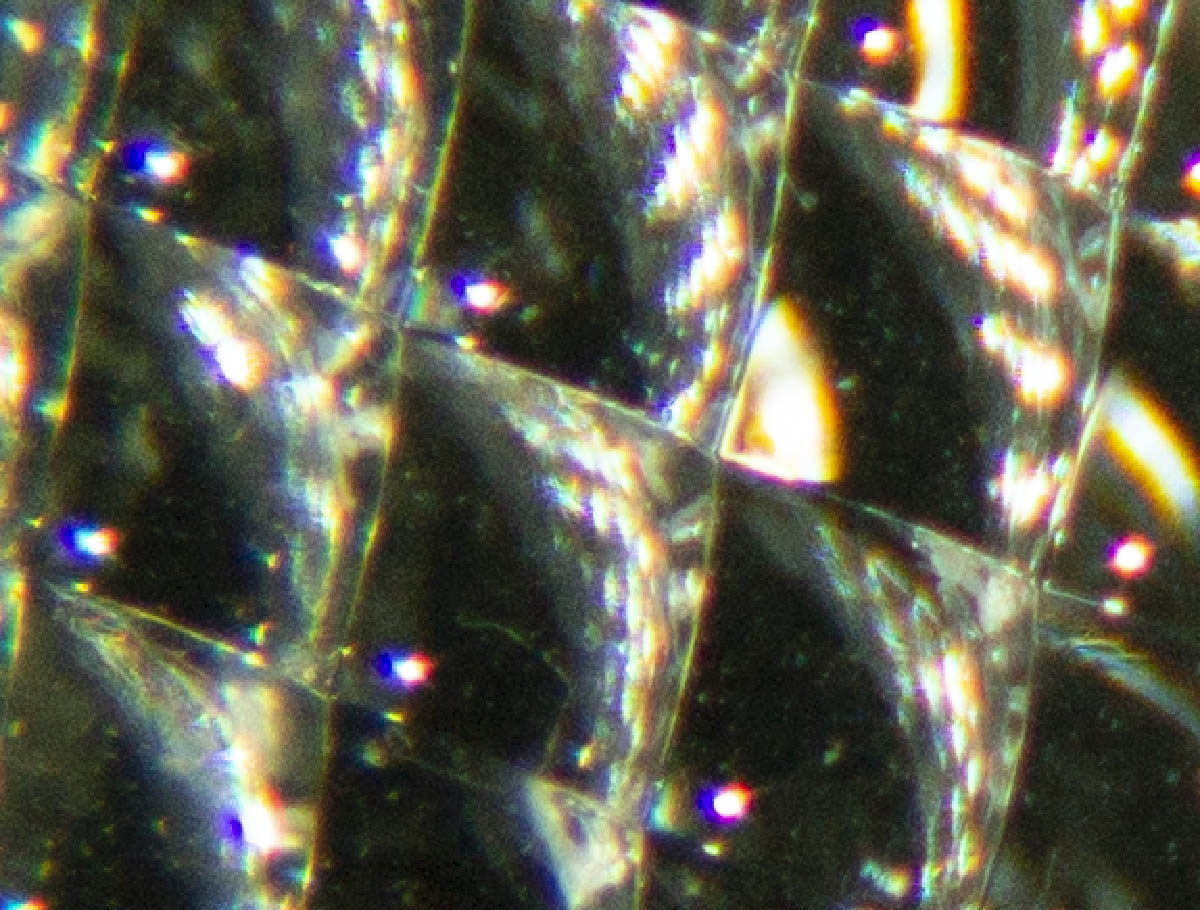 Name:  macro_f16_detail1.jpg
Hits: 285
Gre:  218,5 KB