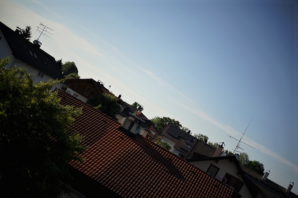 Name:  DSC08738.JPG
Hits: 1711
Gre:  239,8 KB