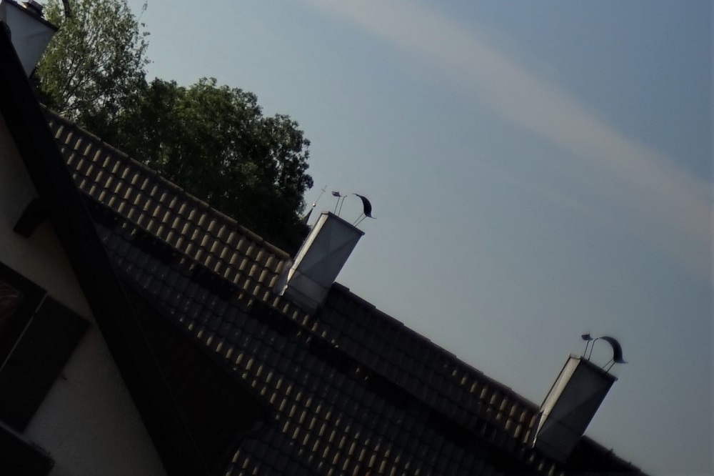 Name:  DSC08739 (2).JPG
Hits: 1767
Gre:  169,2 KB