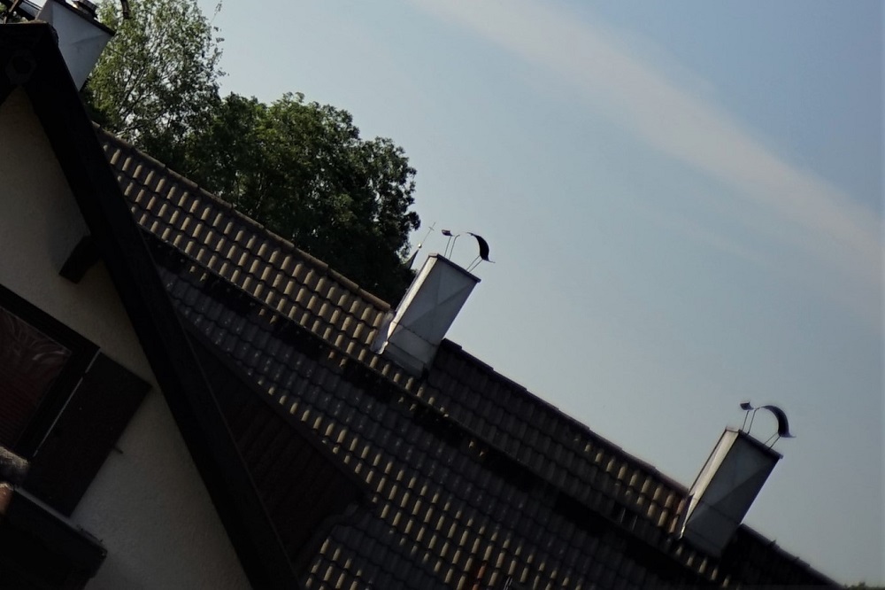 Name:  DSC08740 (2).JPG
Hits: 1754
Gre:  188,0 KB