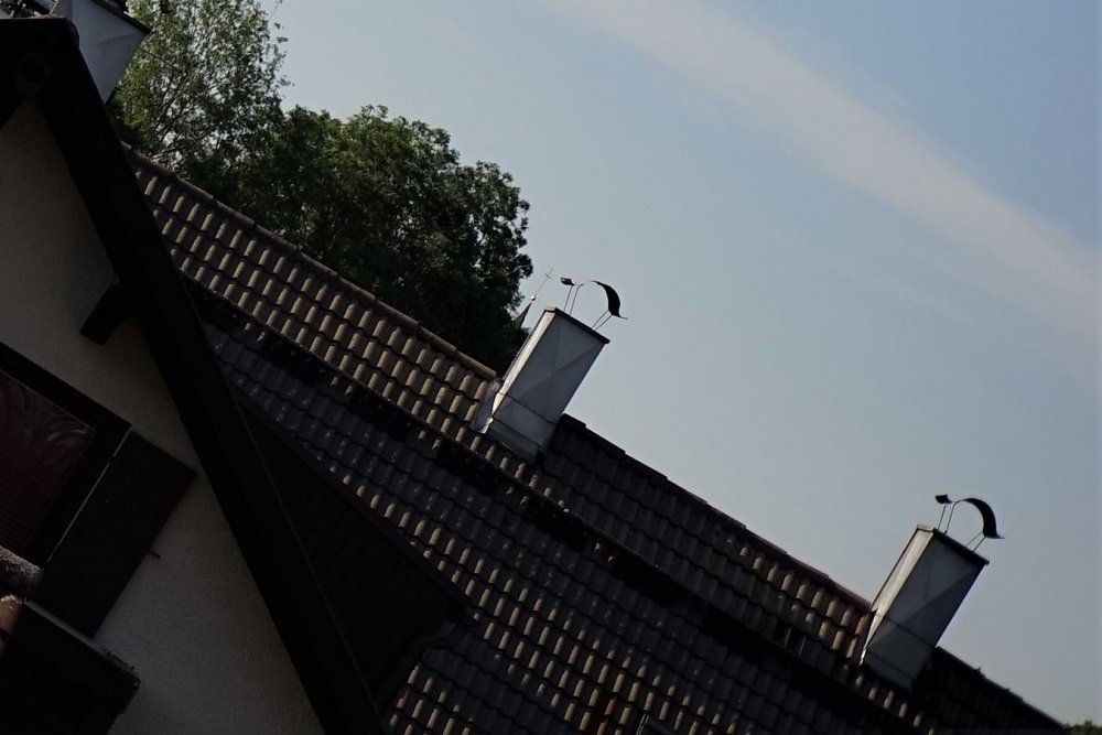 Name:  DSC08741 (2).JPG
Hits: 1749
Gre:  191,9 KB