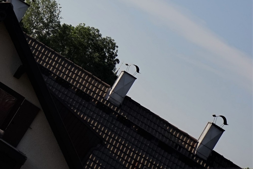 Name:  DSC08742 (2).JPG
Hits: 1804
Gre:  196,8 KB