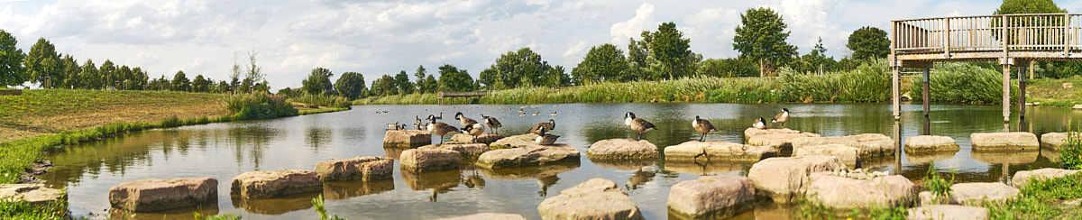 Name:  Fischkinderstubepano_1200p.jpg
Hits: 1864
Gre:  147,7 KB