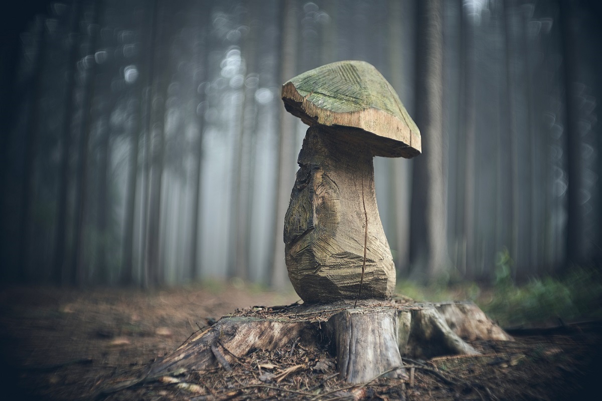Name:  5 - Meopta Meostigmat 50mm 1.3.jpg
Hits: 689
Gre:  239,3 KB