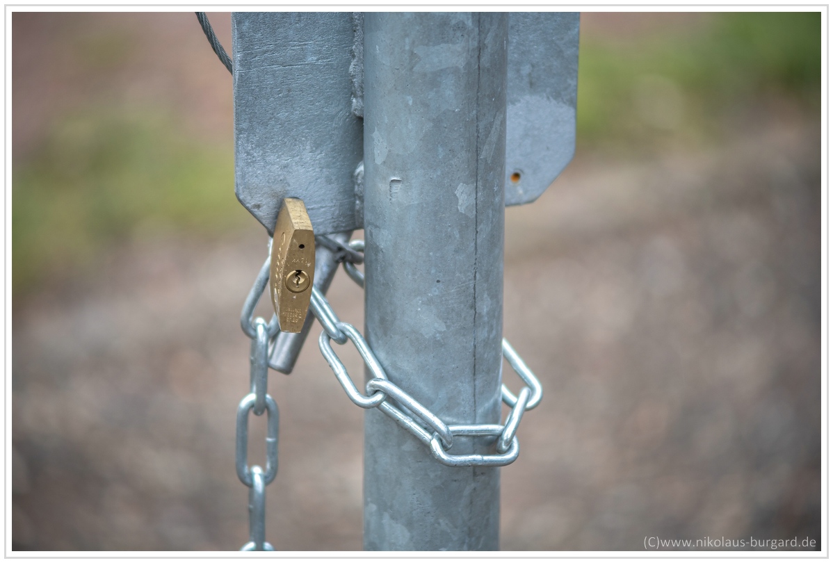 Name:  300kb_A7M3 + Olympus 75-150mm f4 037.jpg
Hits: 412
Gre:  281,6 KB