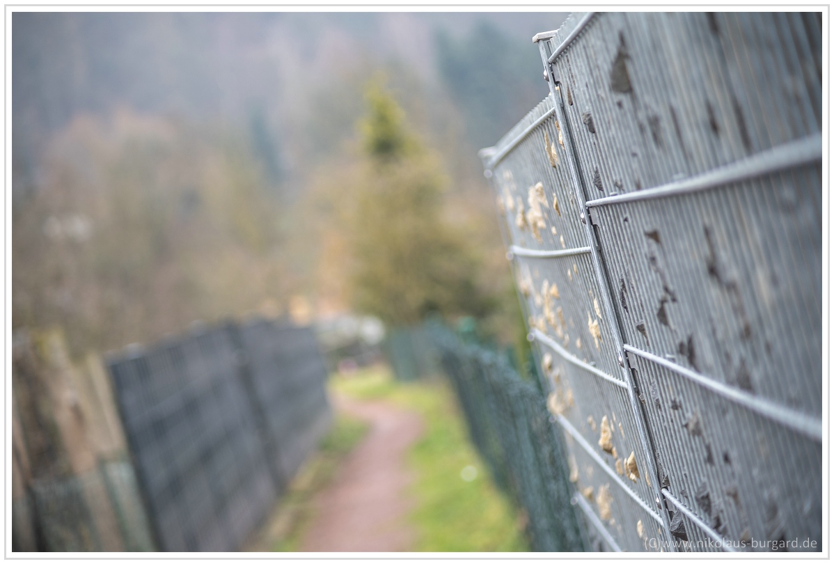 Name:  300kb_A7M3 + Olympus 75-150mm f4 021.jpg
Hits: 397
Gre:  287,7 KB