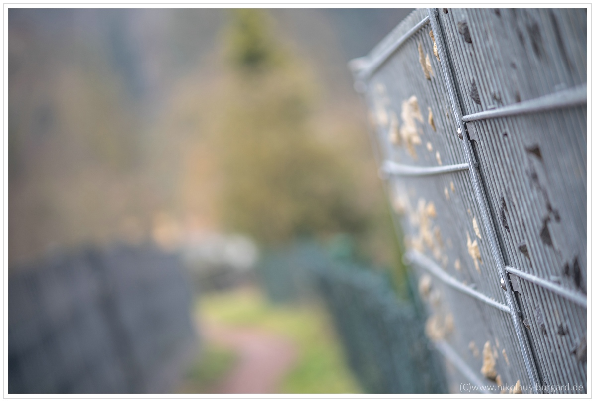 Name:  300kb_A7M3 + Olympus 75-150mm f4 020.jpg
Hits: 399
Gre:  261,8 KB