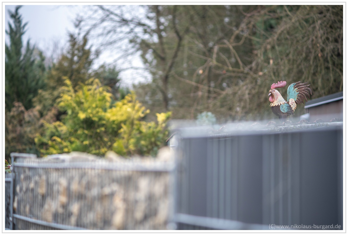 Name:  300kb_A7M3 + Olympus 75-150mm f4 019.jpg
Hits: 393
Gre:  280,6 KB