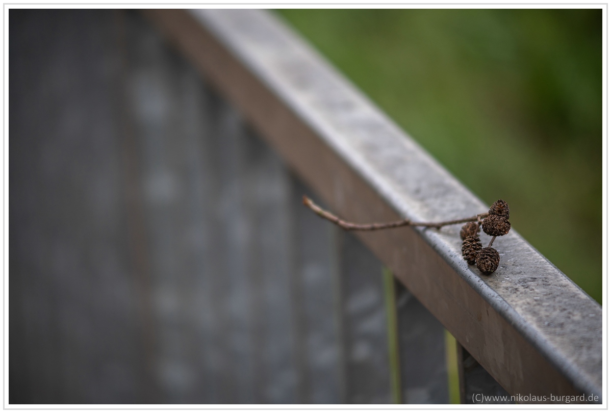 Name:  300kb_A7M3 + Olympus 75-150mm f4 044.jpg
Hits: 397
Gre:  270,7 KB