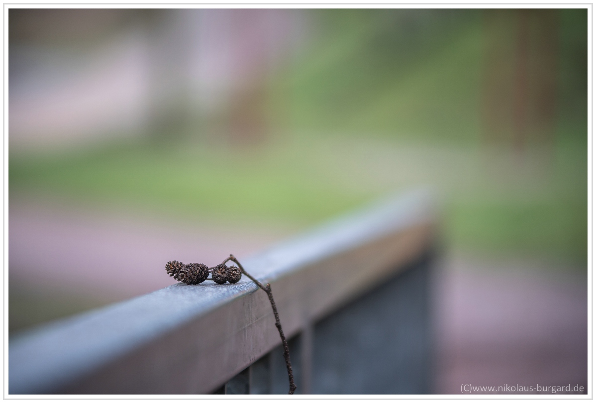 Name:  300kb_A7M3 + Olympus 75-150mm f4 045.jpg
Hits: 413
Gre:  266,2 KB