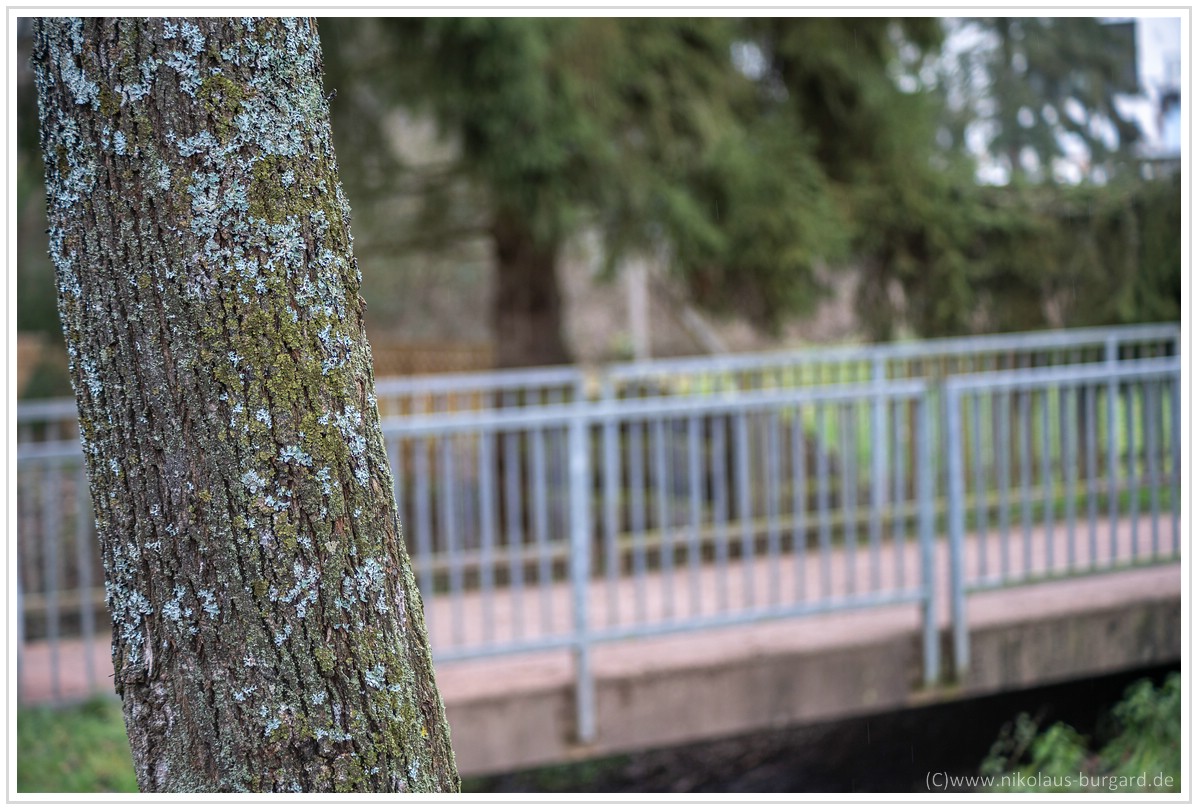 Name:  300kb_A7M3 + Olympus 75-150mm f4 033.jpg
Hits: 389
Gre:  295,4 KB