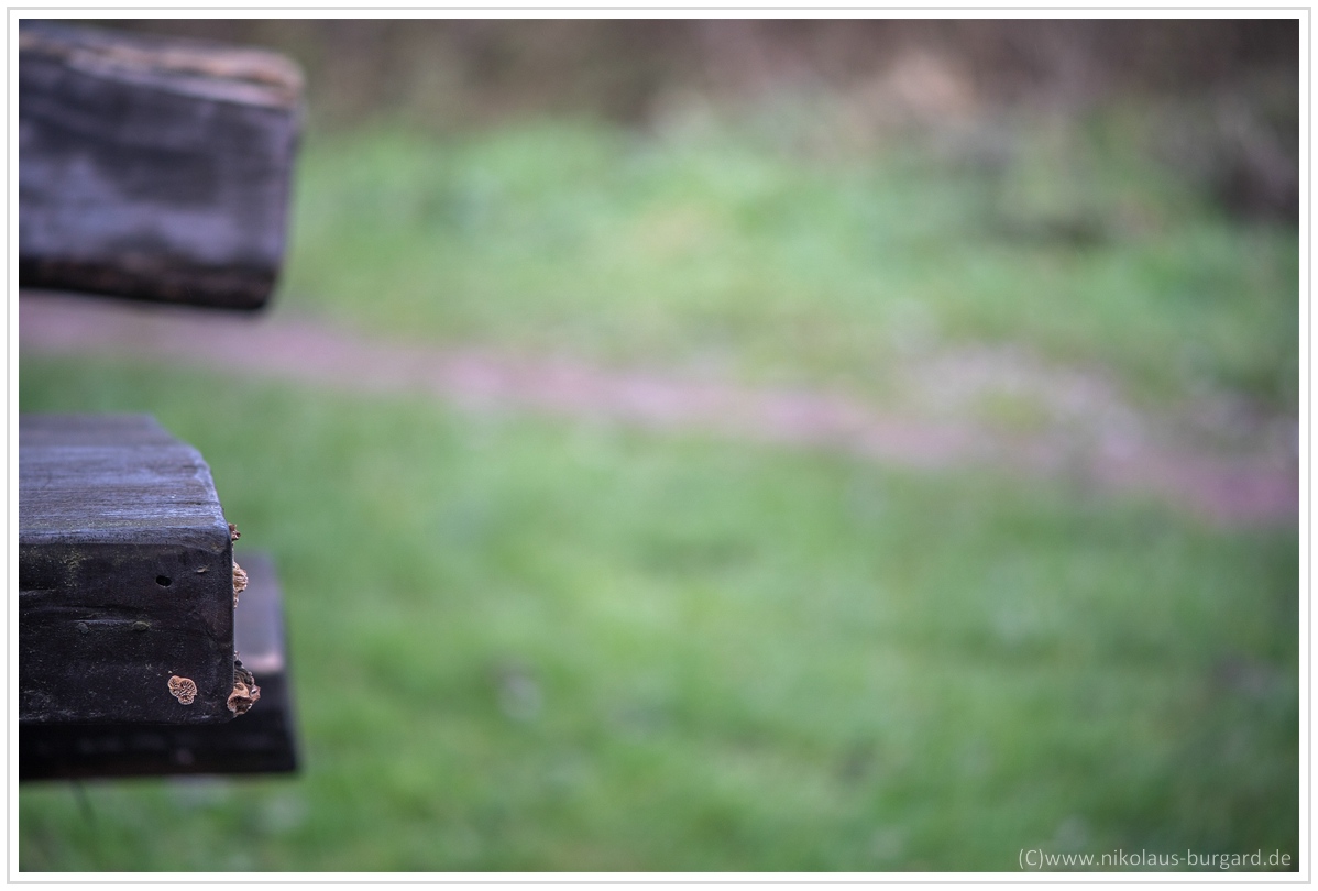 Name:  300kb_A7M3 + Olympus 75-150mm f4 048.jpg
Hits: 391
Gre:  249,1 KB