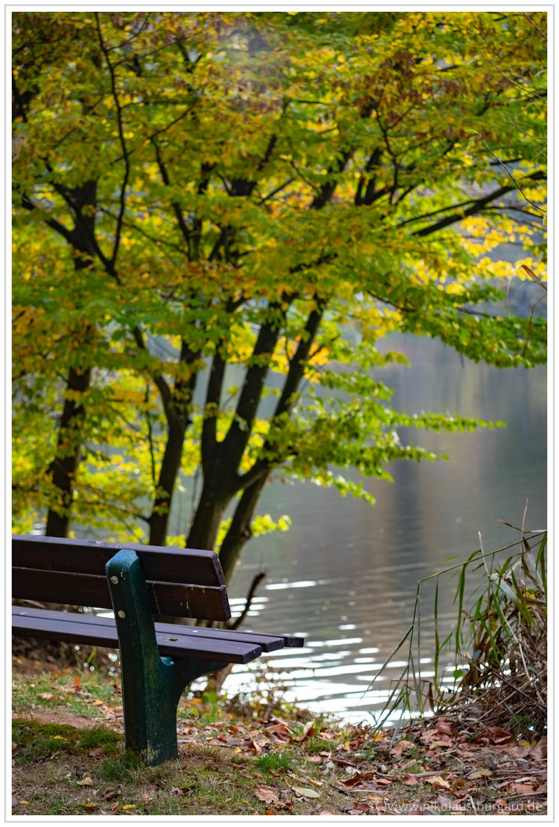 Name:  300kb_Herbstspaziergang Carl Zeiss 80-200mm f4 021.jpg
Hits: 1842
Gre:  294,3 KB