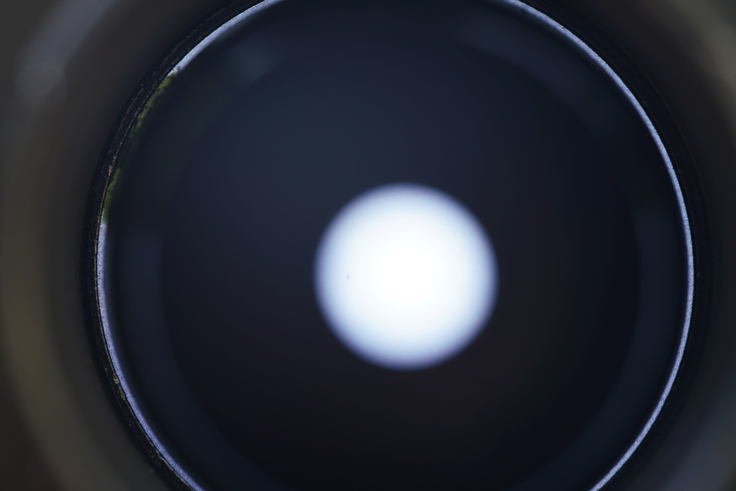 Name: DSC01271.jpg
Hits: 921
Größe: 143,4 KB