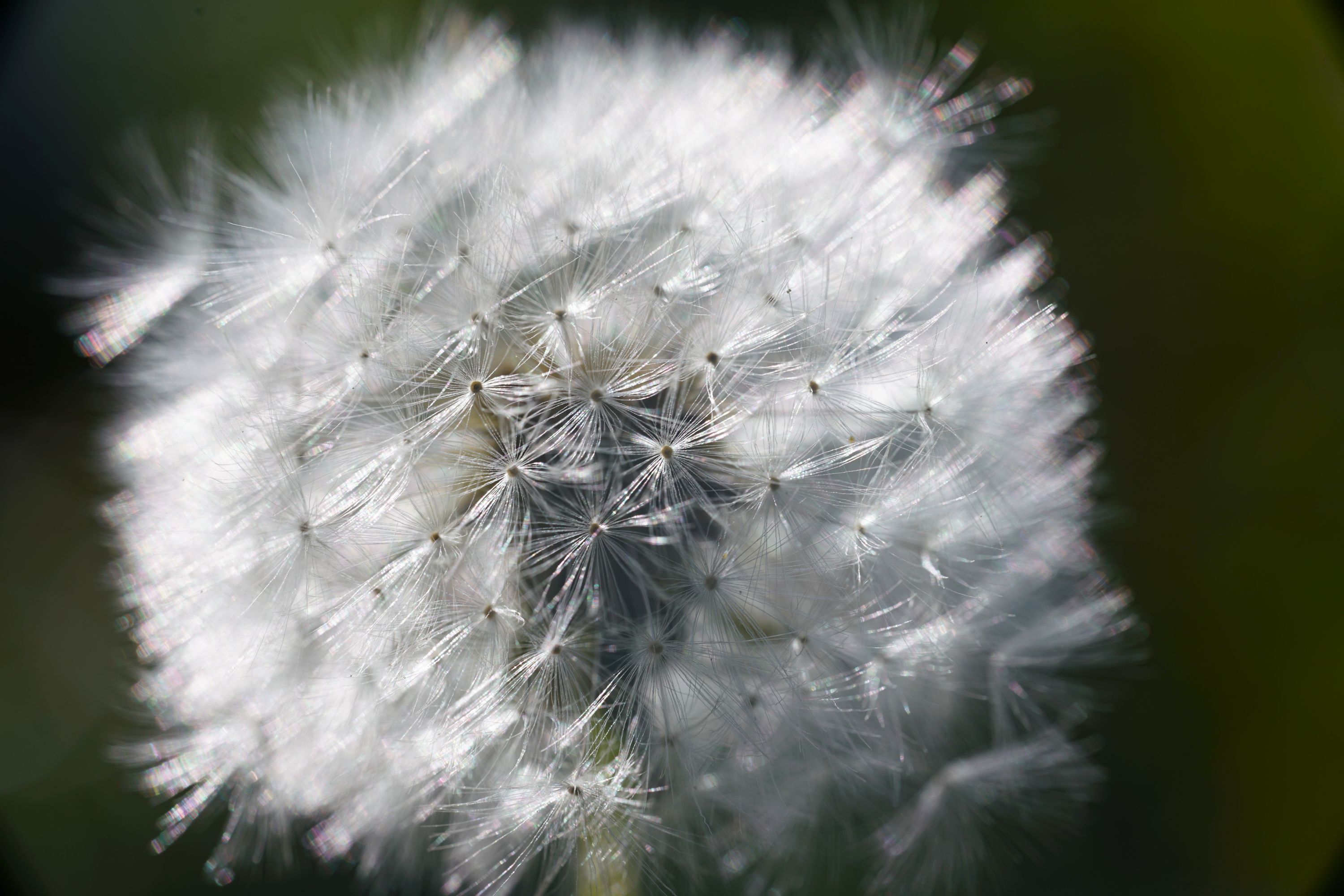 Name: DSC01246.jpg
Hits: 918
Größe: 490,8 KB