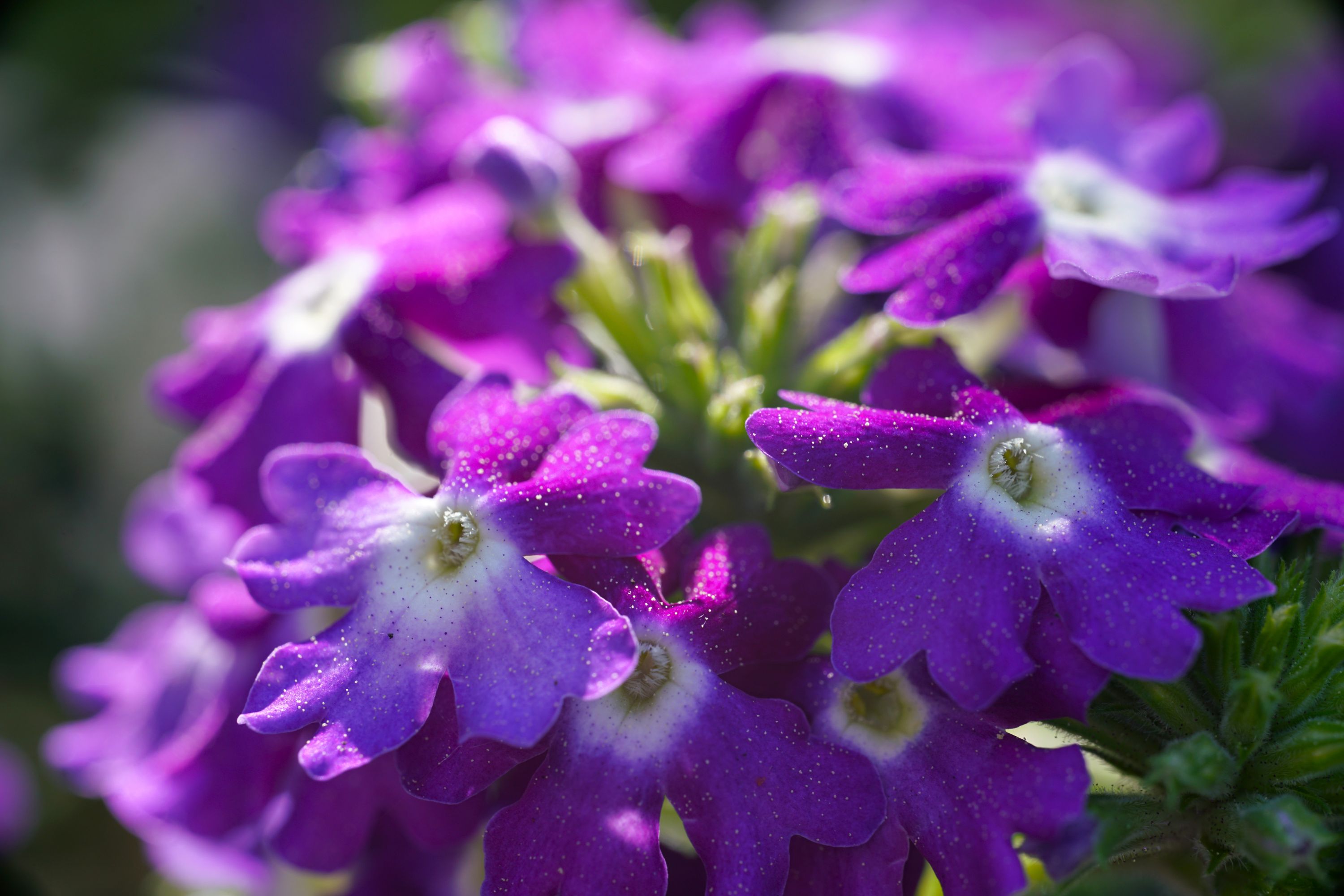 Name: DSC01265.jpg
Hits: 921
Größe: 404,2 KB