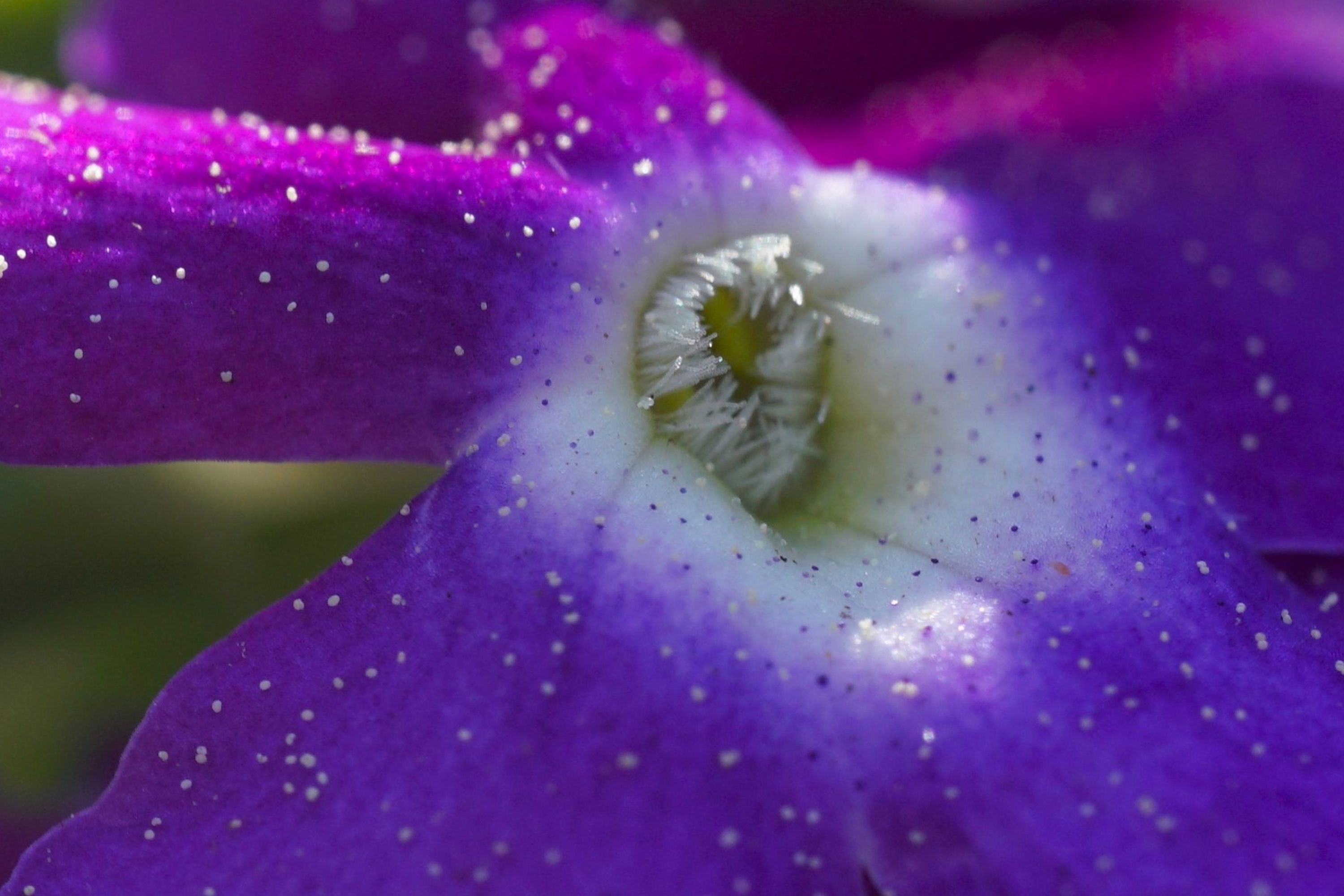 Name: DSC01252.JPG
Hits: 903
Größe: 351,6 KB