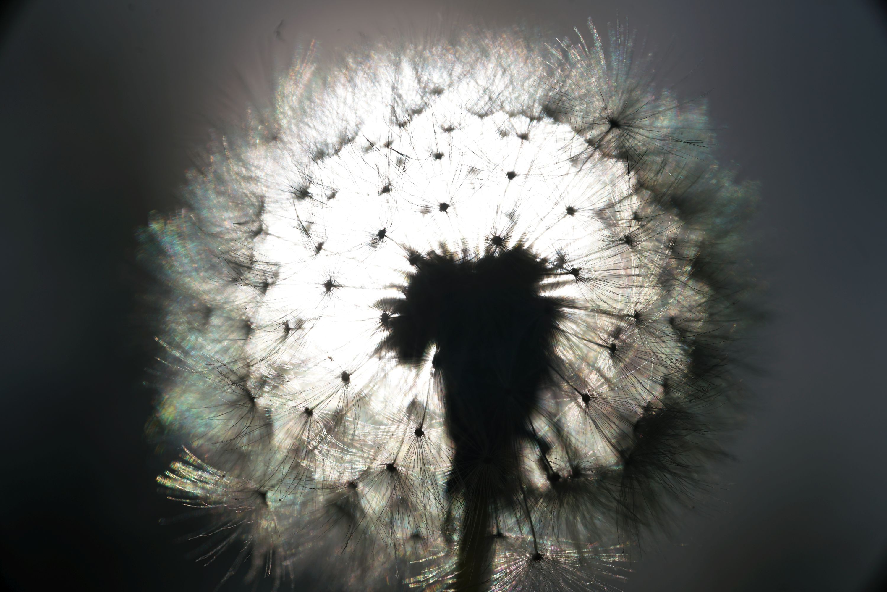 Name: DSC01250.jpg
Hits: 913
Größe: 612,6 KB