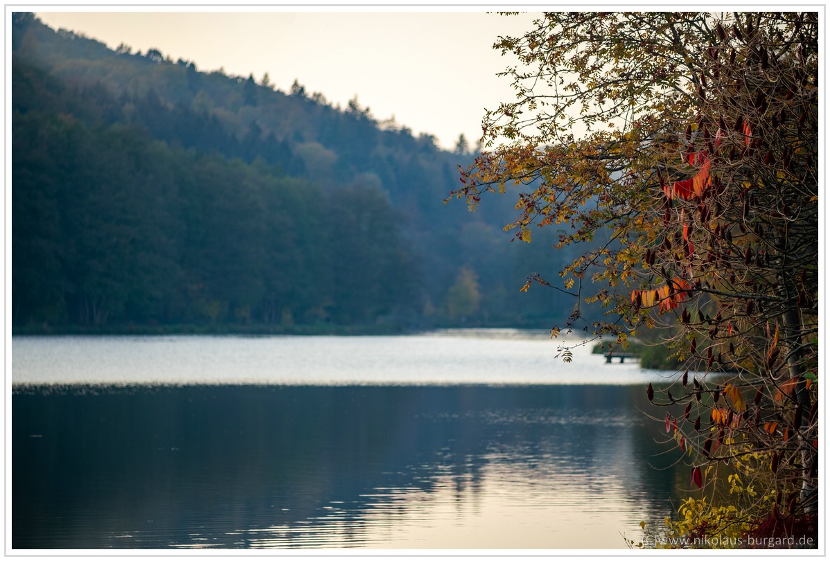 Name:  300kb_Herbstspaziergang Carl Zeiss 80-200mm f4 040.jpg
Hits: 1804
Gre:  286,7 KB