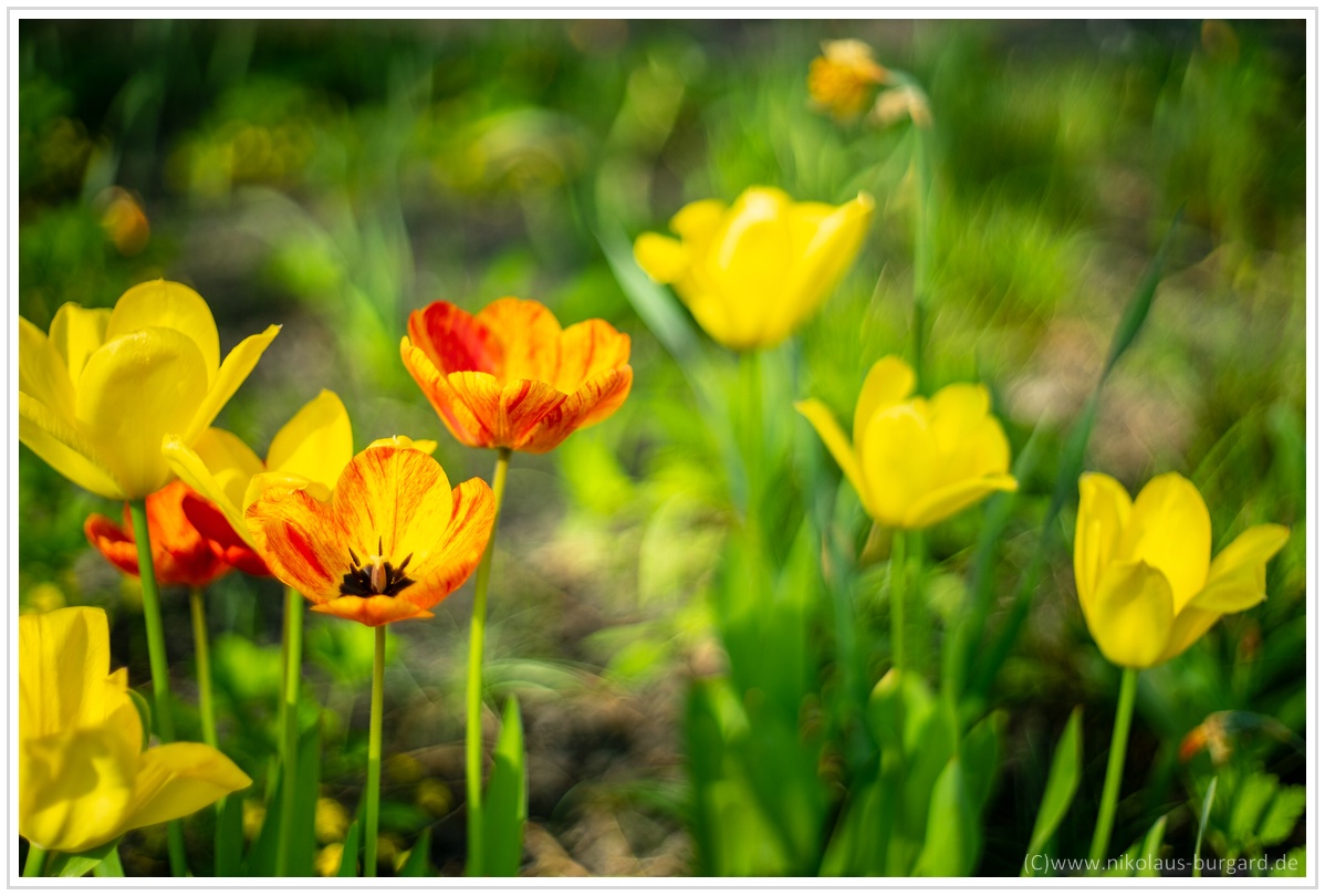 Name:  300kb_Balkon Wasserschlacht Pentacon 50-1.8 004.jpg
Hits: 912
Gre:  277,0 KB