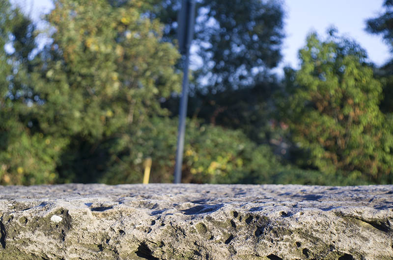 Name: _IMGP2276.jpg
Hits: 5311
Größe: 130,2 KB