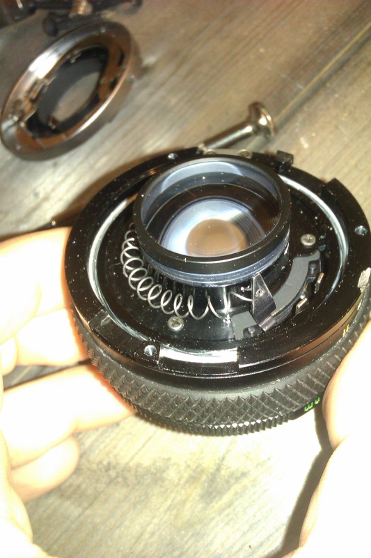 Name: image009.jpg
Hits: 2814
Größe: 156,1 KB