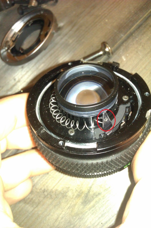 Name: image009 - Kopie.jpg
Hits: 2803
Größe: 138,6 KB