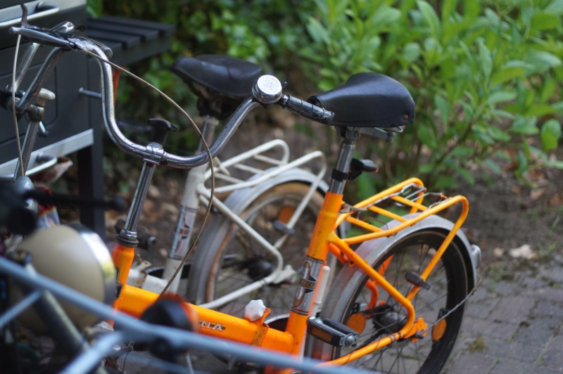 Name: DSC01502.JPG
Hits: 2860
Größe: 177,0 KB