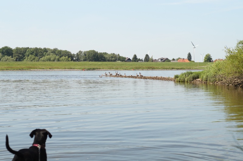 Name: DSC01581.JPG
Hits: 2803
Größe: 145,1 KB