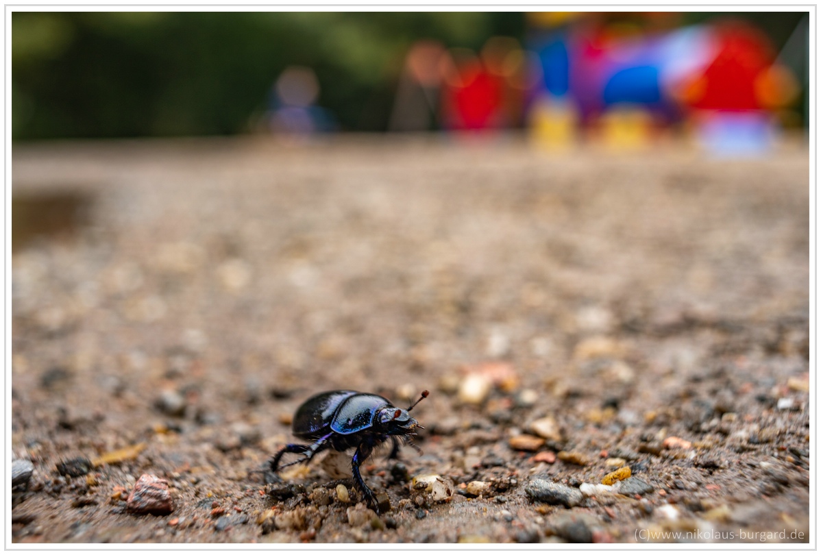 Name:  300kb_DSC04642.jpg
Hits: 664
Größe:  291,8 KB