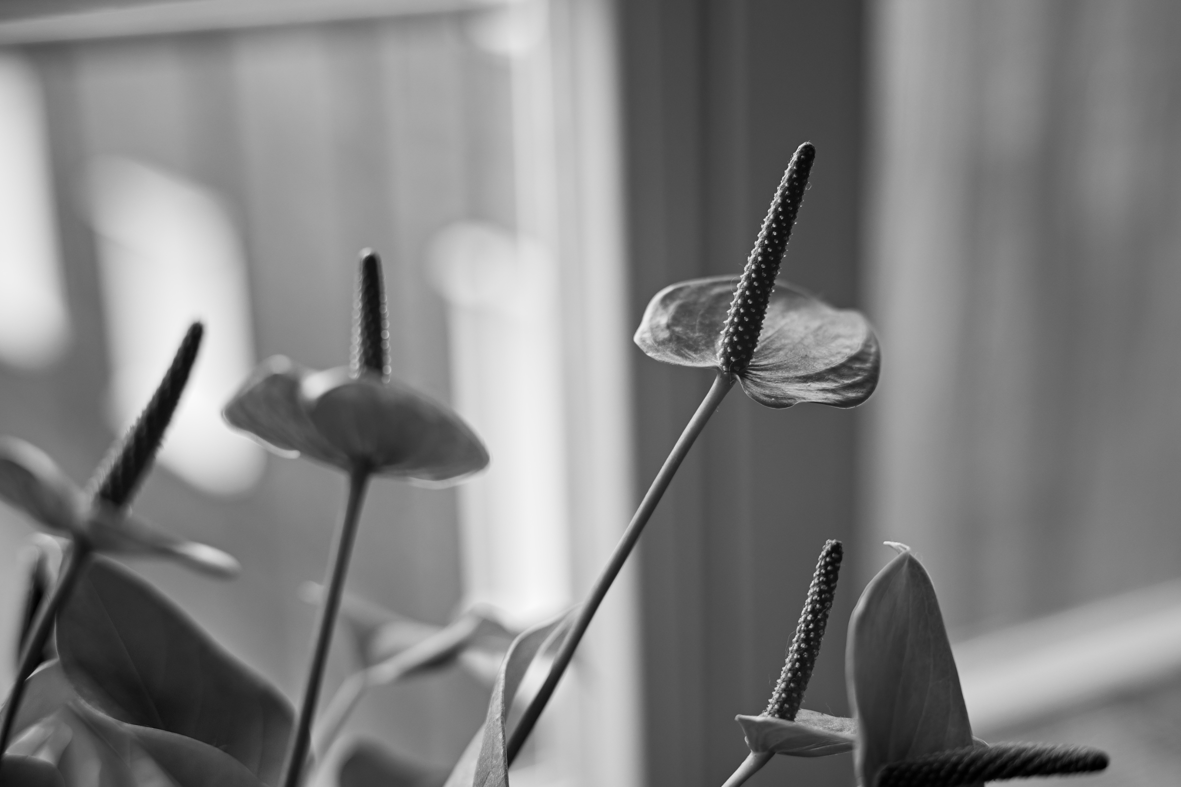 Name: S7I05213.jpg
Hits: 673
Größe: 1,28 MB