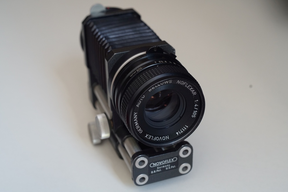 Name: __DSC05348.jpg
Hits: 290
Größe: 141,8 KB