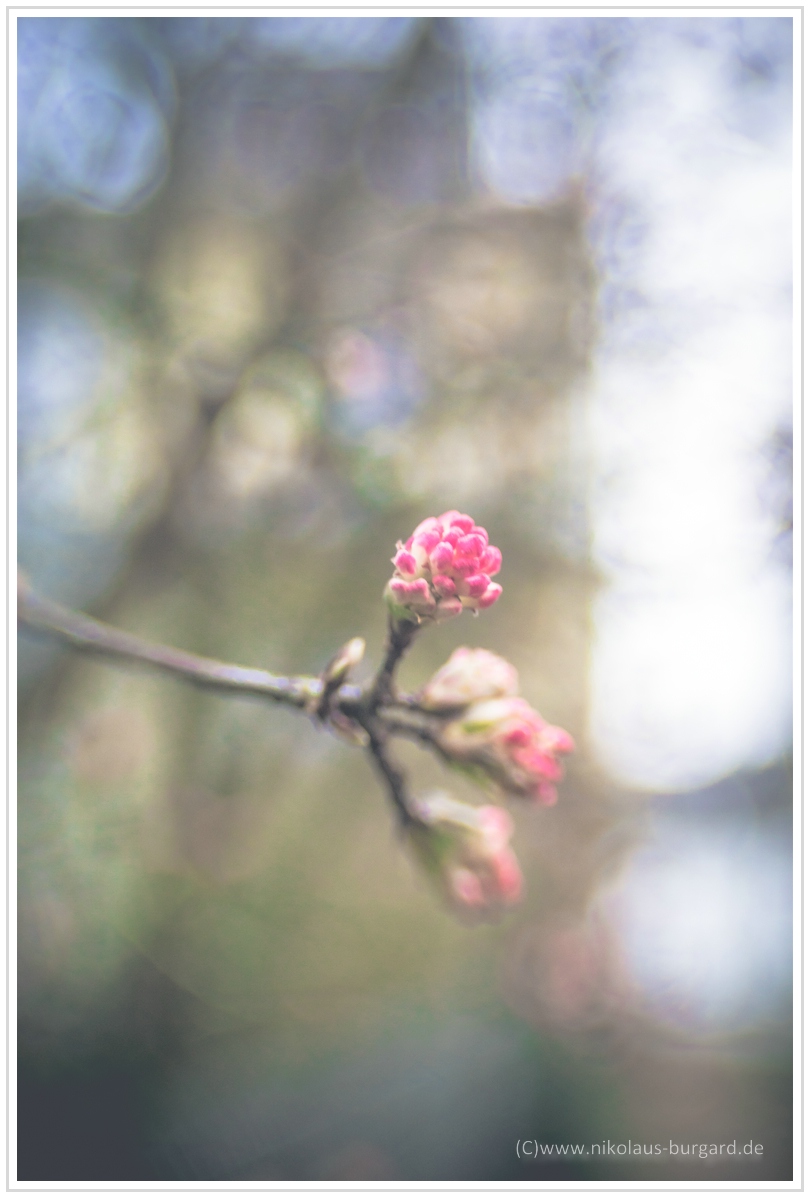 Name:  300kb_Spielplatz Lensbaby 35 084.jpg
Hits: 355
Gre:  283,6 KB