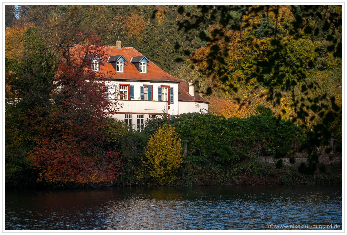 Name:  300kb_Herbstspaziergang Carl Zeiss 80-200mm f4 013.jpg
Hits: 1857
Gre:  295,7 KB