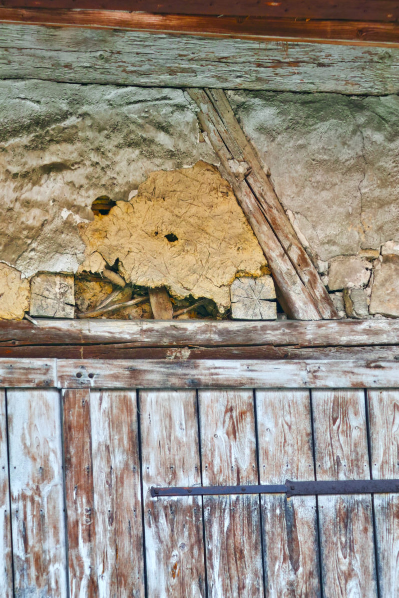 Name:  SDQ_1119darktable2_2_5.jpg
Hits: 489
Größe:  283,8 KB