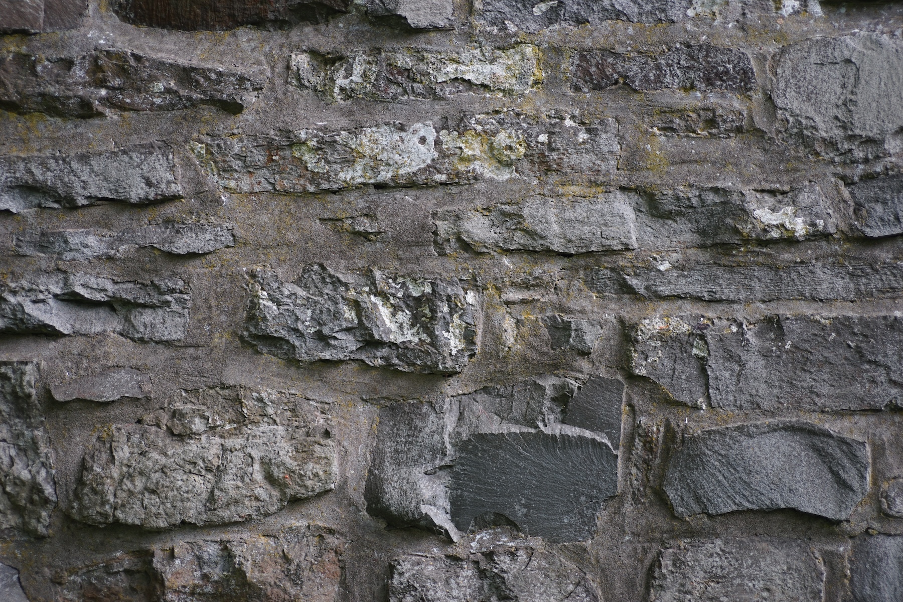 Name: S7I04193.JPG
Hits: 1315
Größe: 1,32 MB