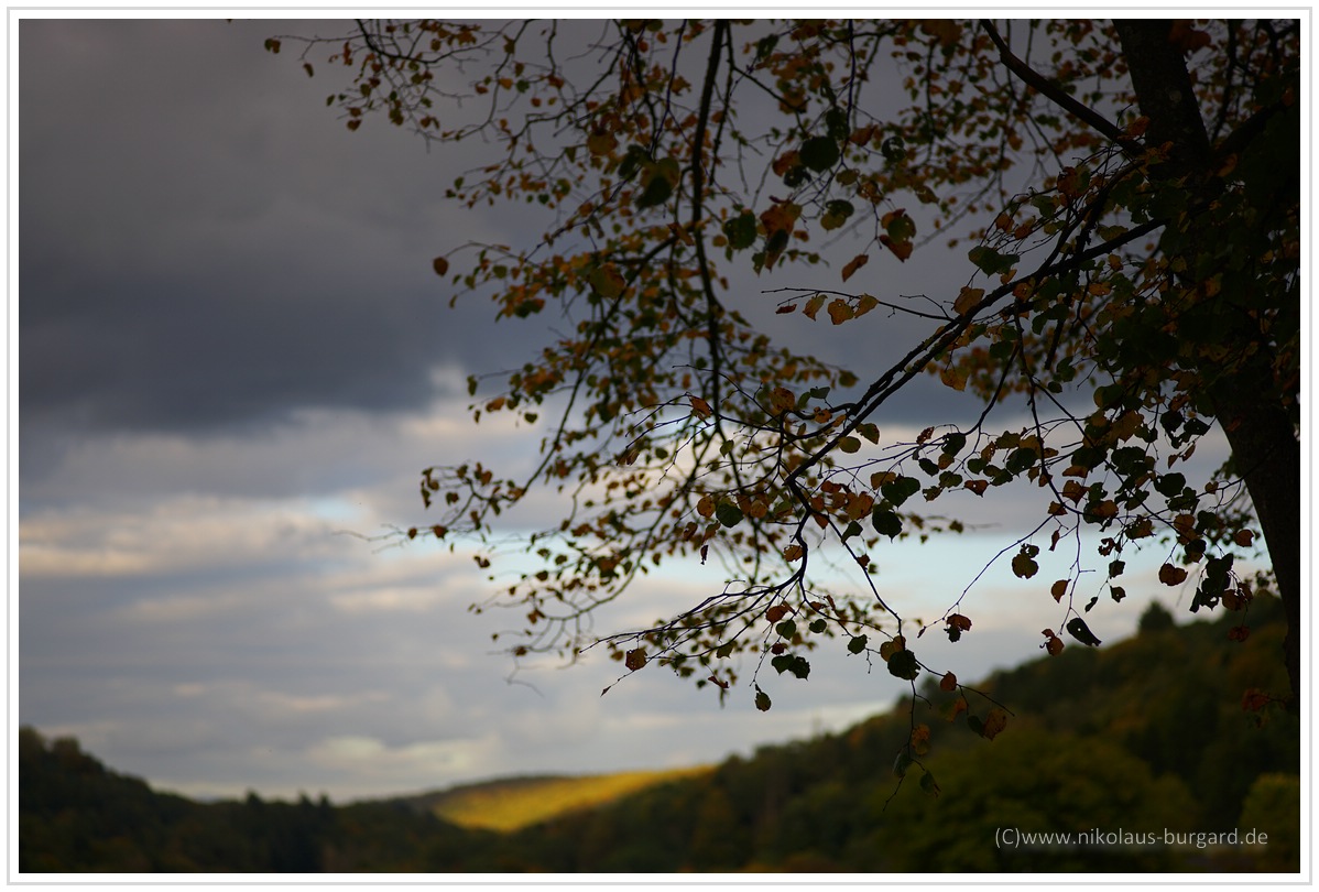 Name:  298kb_Carl Zeiss 90mm f2.8 Contax G 041.jpg
Hits: 1419
Gre:  290,6 KB