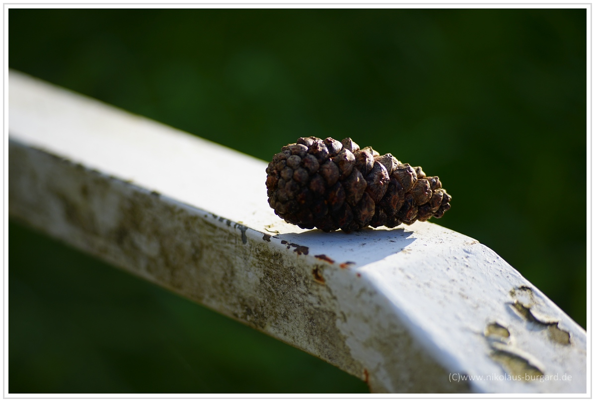 Name:  298kb_Carl Zeiss 90mm f2.8 Contax G 006.jpg
Hits: 1433
Gre:  271,4 KB