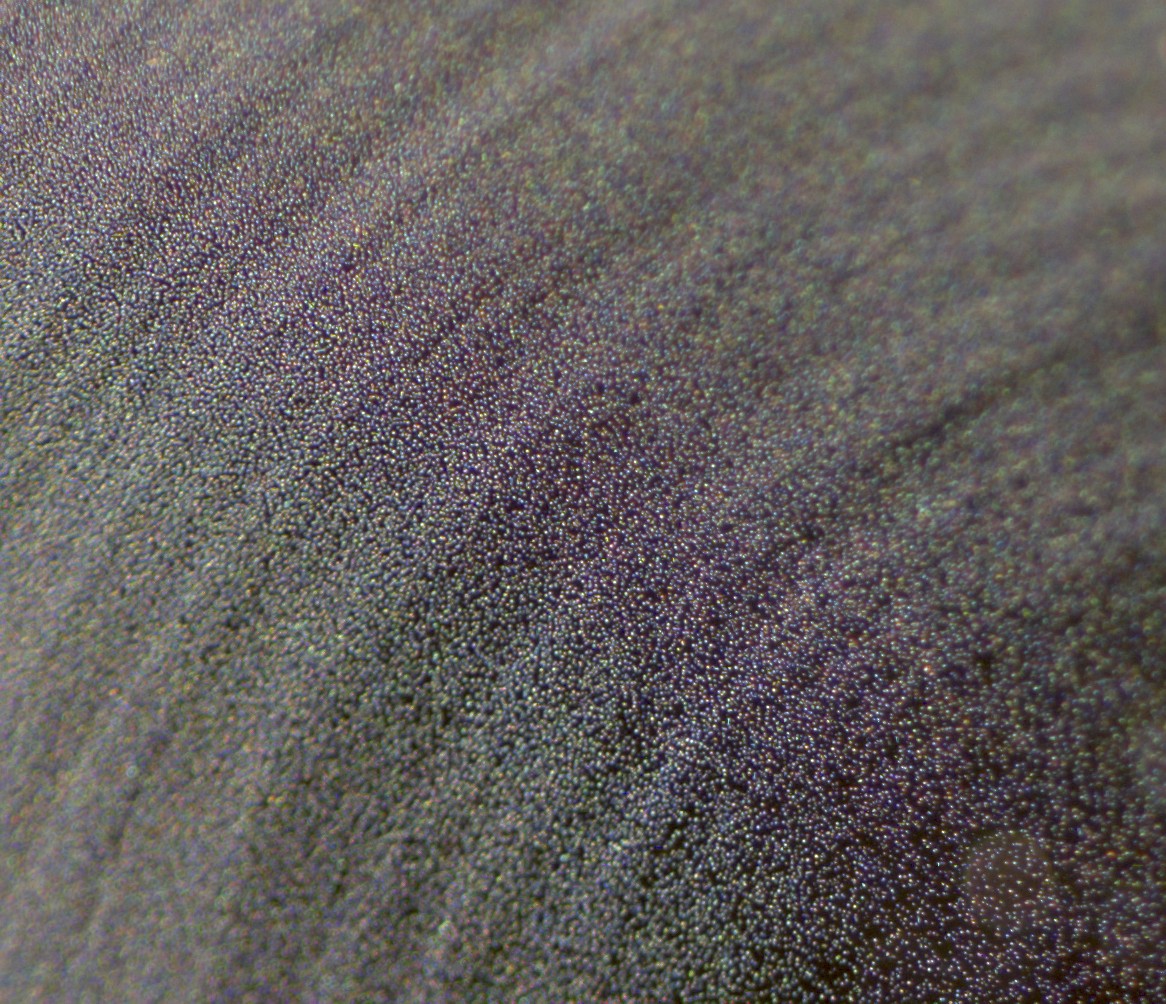 Name: _DSF0714.jpg
Hits: 1340
Größe: 408,9 KB