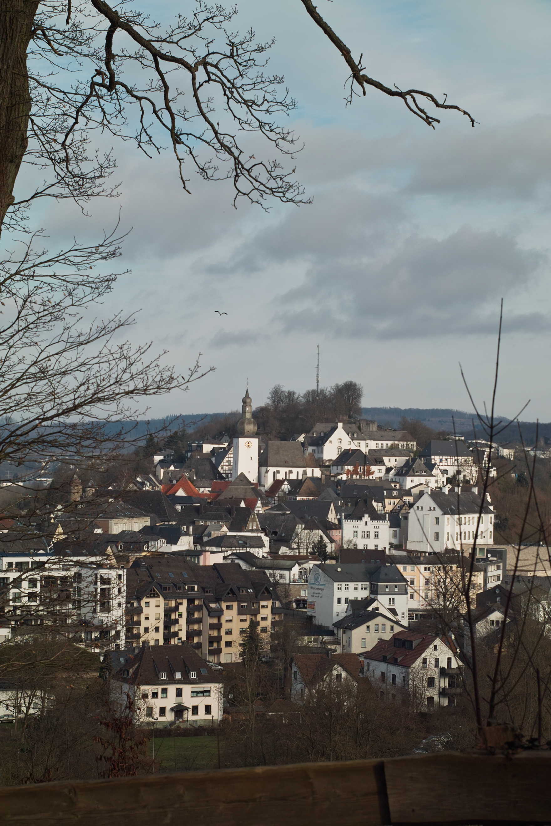 Name:  _SDI3850-Ehmsen-Denkmal-Altstadt-Reiher-Edit-RawTherapie-2.jpg
Hits: 474
Größe:  379,0 KB