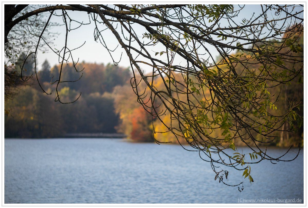 Name:  300kb_Herbstspaziergang Carl Zeiss 80-200mm f4 002.jpg
Hits: 1813
Gre:  296,0 KB