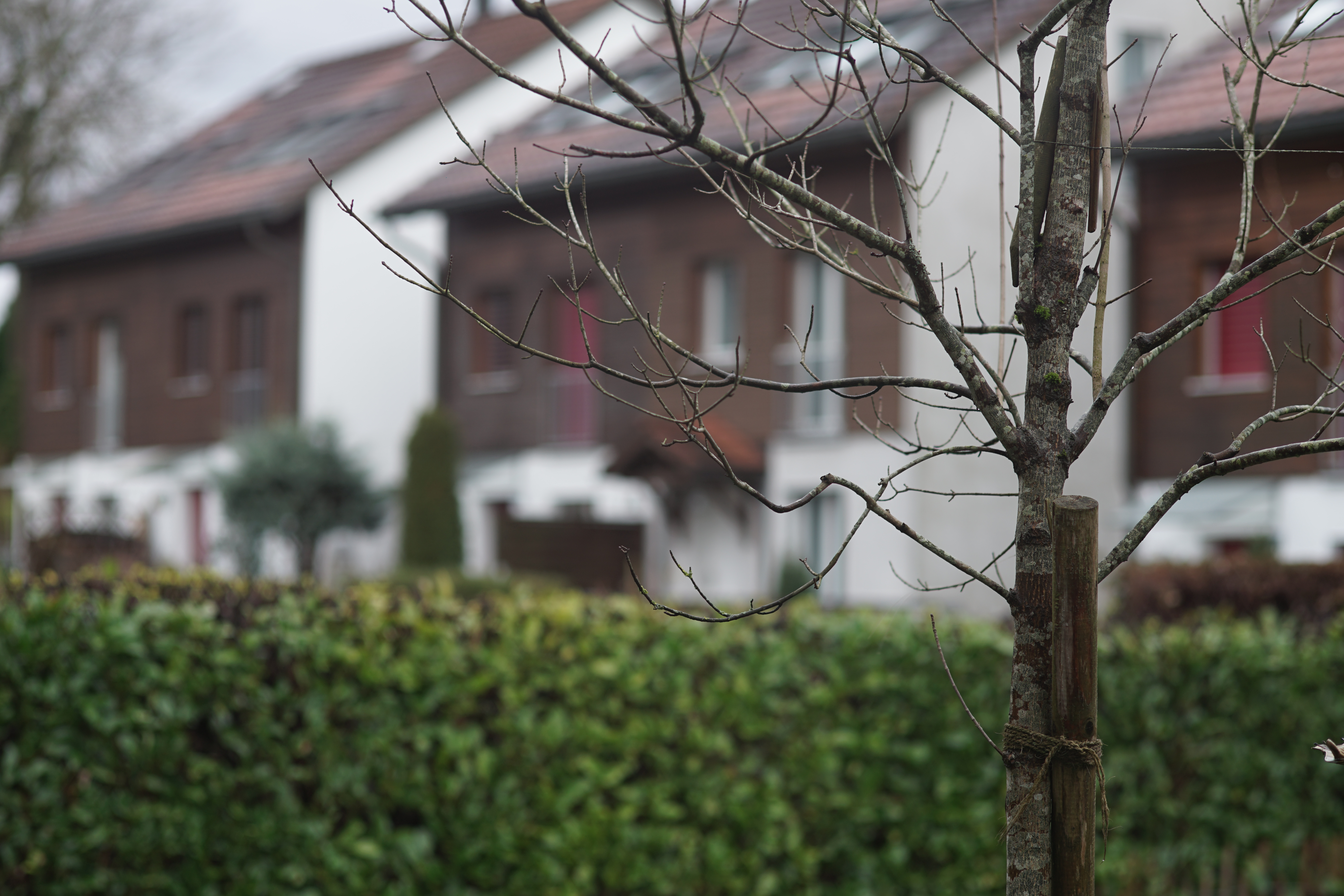 Name: 01_Canon_100mm_2_2.8_nah.jpg
Hits: 1493
Größe: 4,48 MB