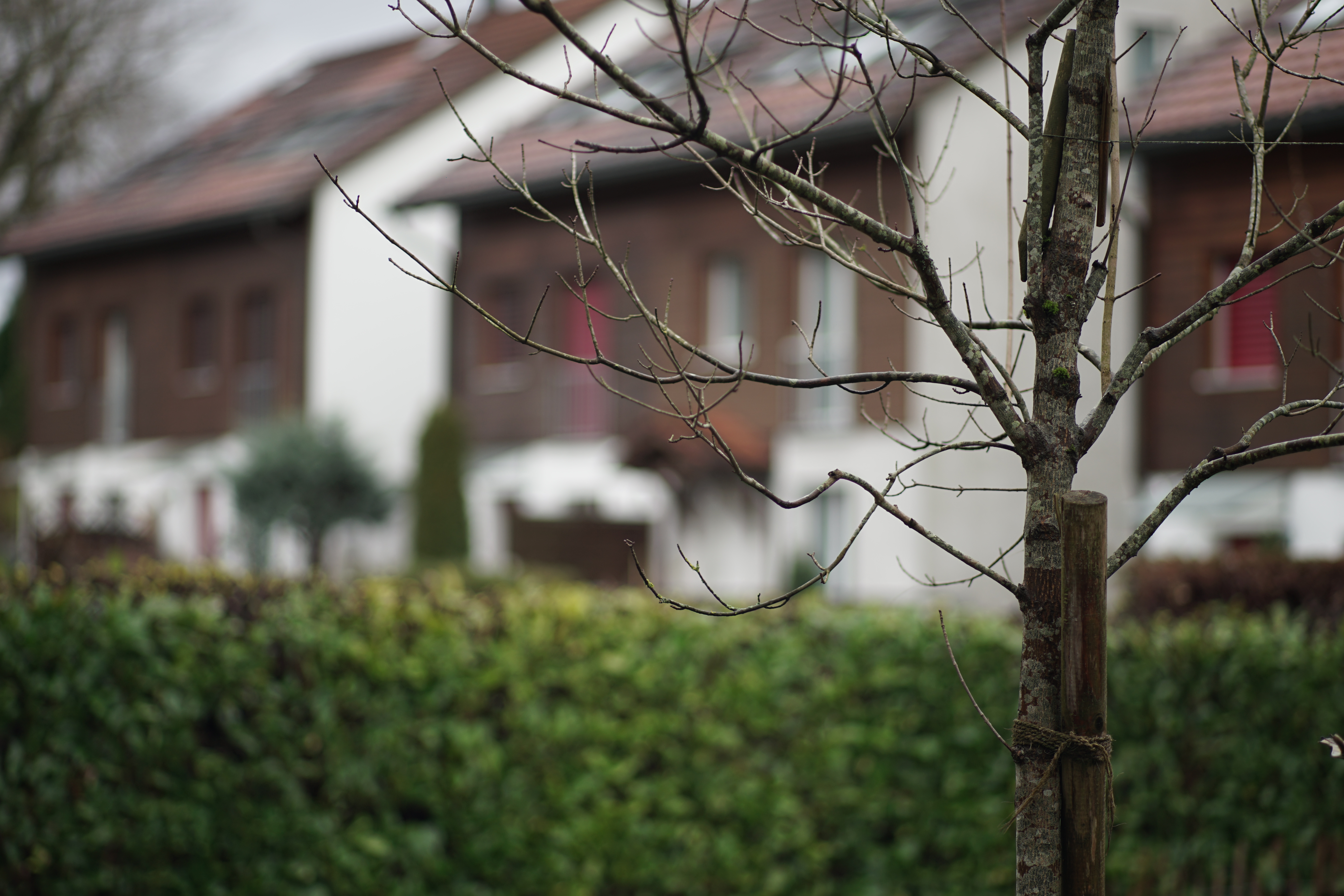 Name: 02_Zeiss_100mm_2_2_nah.jpg
Hits: 1508
Größe: 4,39 MB