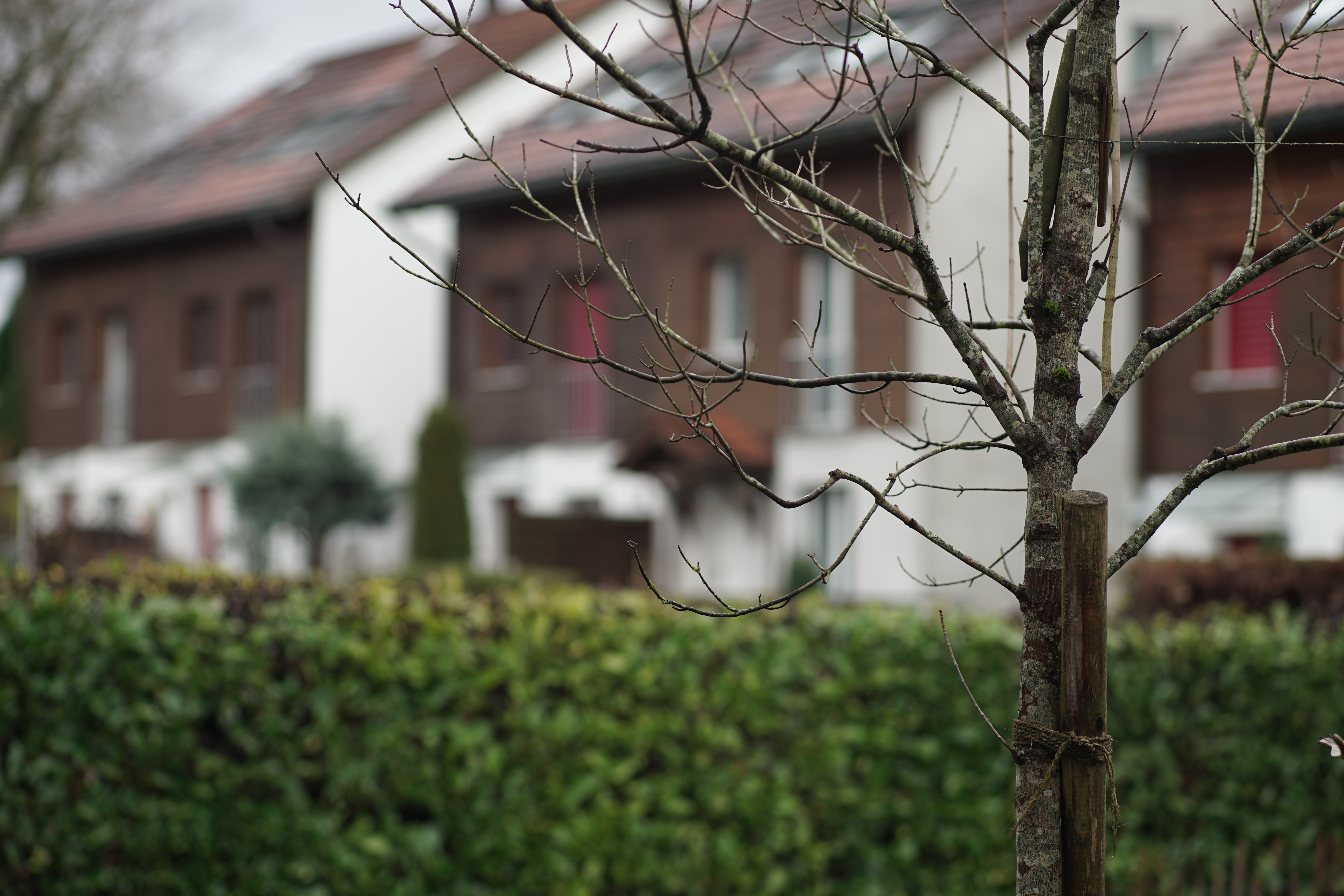 Name: 02_Zeiss_100mm_2_2.8_nah.jpg
Hits: 1522
Größe: 4,55 MB