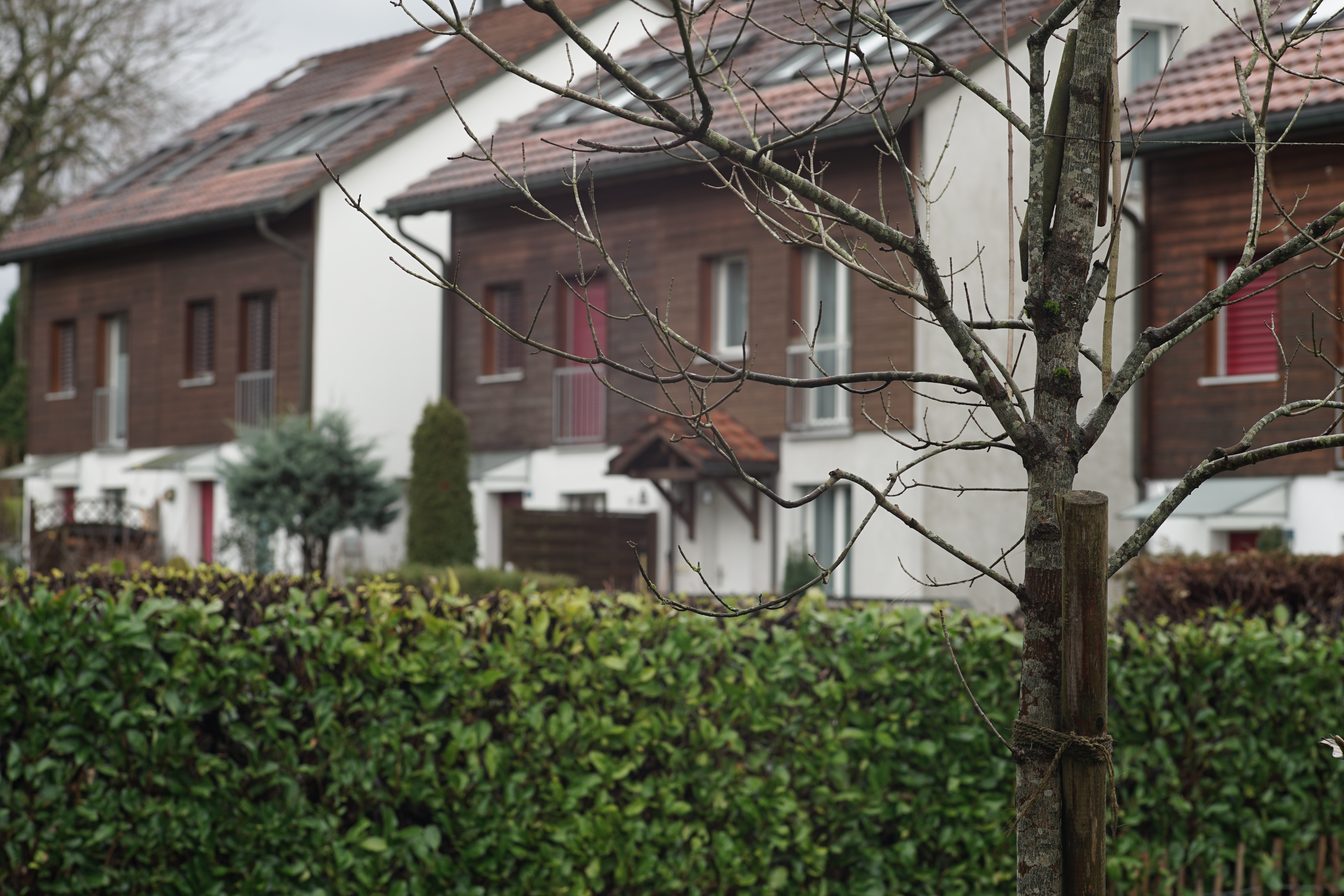 Name: 02_Zeiss_100mm_2_8_nah.jpg
Hits: 1581
Größe: 5,40 MB