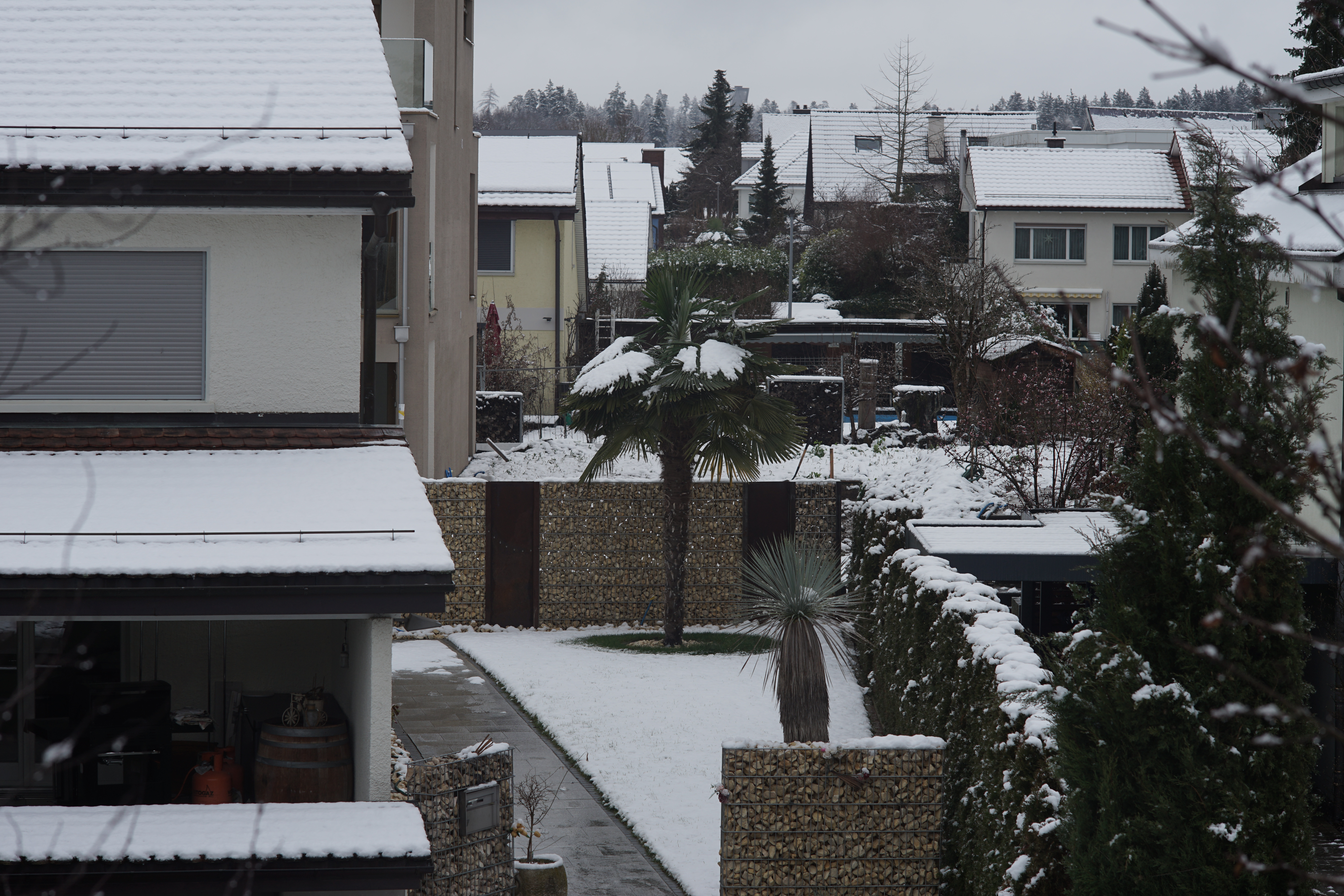 Name: 01_Canon_100mm_2_8_Schnee.jpg
Hits: 1550
Größe: 5,47 MB