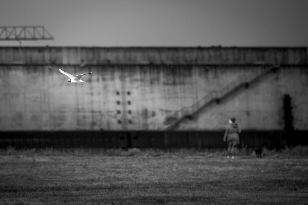 Name:  A7R04250.jpg
Hits: 312
Größe:  240,8 KB