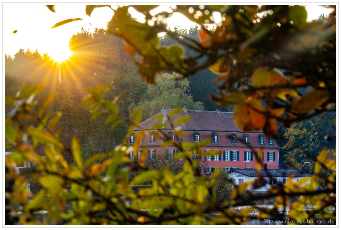 Name:  300kb_Herbstspaziergang Carl Zeiss 80-200mm f4 039.jpg
Hits: 1825
Gre:  295,0 KB